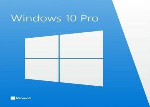 Quality Professional 1pc Windows 10 Home Registration Key X64 Product Code Windows 10 Home for sale