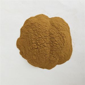 Supply nice quality dandelion extract dandelion root extract 5% flavonoids for