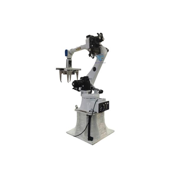 PLC Control Robotic Box Palletizer Machine With Multi Joint Robot Arm Number