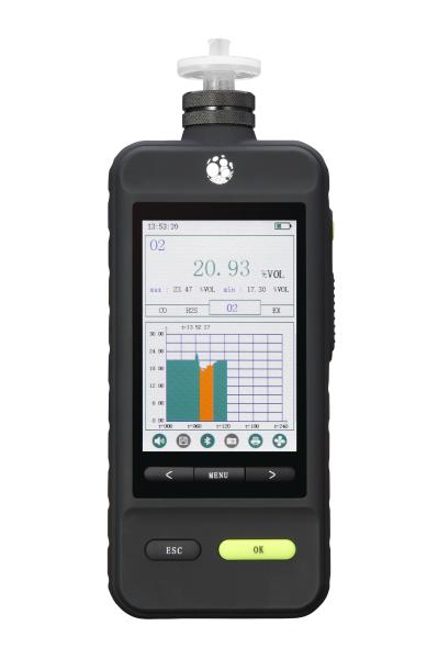Buy Handheld Pumping O2 Single Gas Detector With Flash Light Function Color Screen at wholesale prices