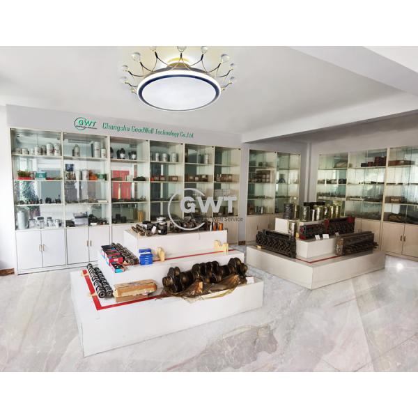 Common Rail DELPHI Diesel Fuel Injectors BEBE4D24001 BEBE4D08001 BEBE4D16001