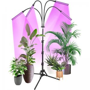 Quality FCC IP44 RED Blue Floor LED Plant Lamp Floor Grow Lamp For Indoor Plants for sale