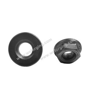China Cold Forged Steel Nuts And Bolts Non Standard Lock Nut For Assembly on sale