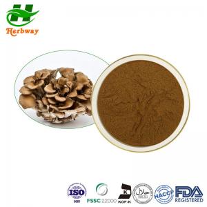 Quality Antibacterial Mushroom Extract Powder Maitake Mushroom Extract Grifola Frondosus P.E for sale