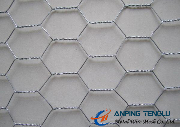 Stainless Steel Hexagonal Wire Mesh/ Hexagonal Wire Netting, With High Strength
