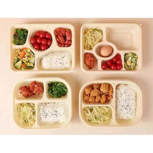 Plate Biodegradable Tableware Machine Sugarcane Bagasse Cup Making