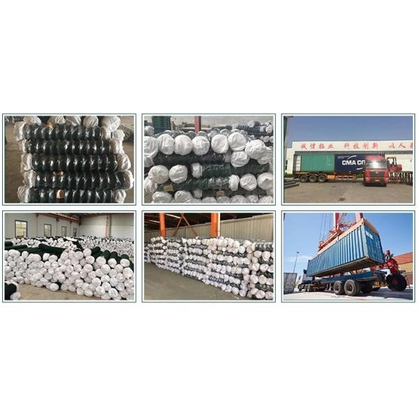 hot dipped galvanized 2.2mm x 25mm opening chain link fence roll mesh