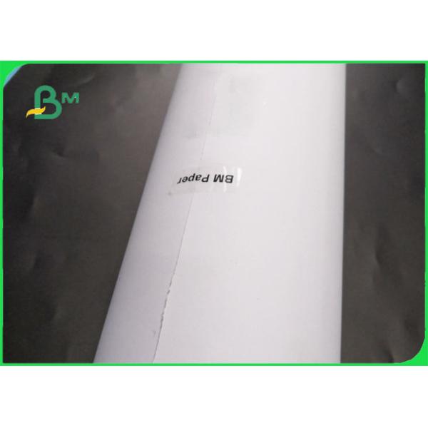 24''  36 " * 50m Plain CAD Drawing Paper Roll For Apparel Factory 80GSM 24'' 36 " × 50m Plain CAD Drawing Paper Roll For Apparel Factory 80GSM