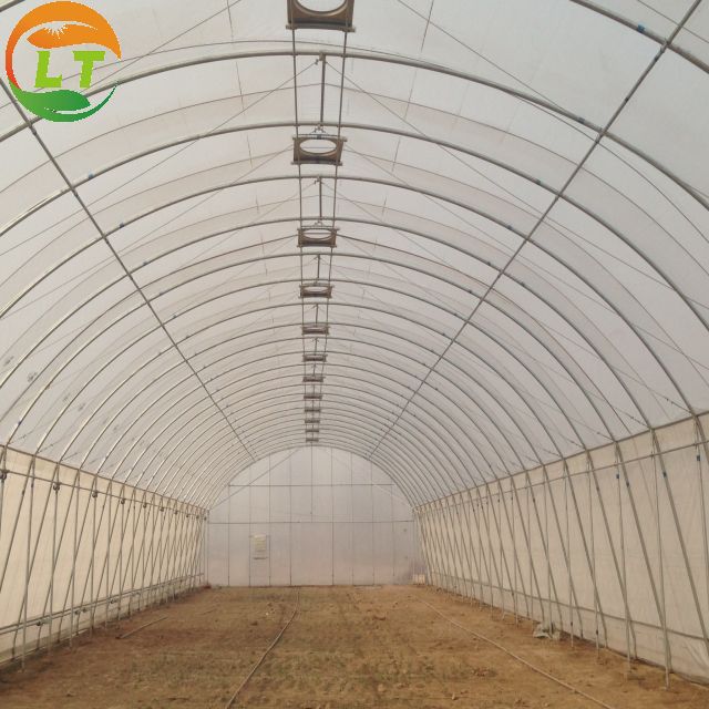 Film Cover Single-Span Agricultural Greenhouses for Agricultural Cultivation