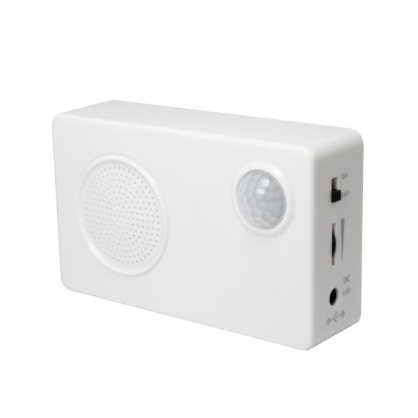 Plastic Motion Activated Speaker Motion Sensor Sound Box With Audio