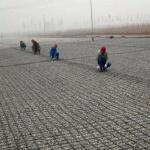 China CE/ISO9001/ISO14001 Certified Geogrids for Road Airport and Retaining Wall Reinforcement for sale