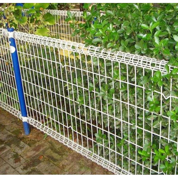 Ornamental Double Loop Roll Top Fencing Pvc Powder Coated 2.0m Height
