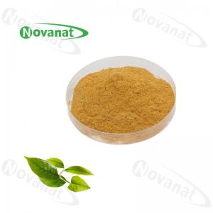 China Camellia Sinensis Instant Green Tea Powder Extract 20% -50% Polyphenols / Food Beverage on sale