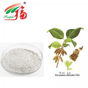 Quality Eucommia Chlorogenic Acid Extract Natural Brown Yellow For Antimicrobial for sale