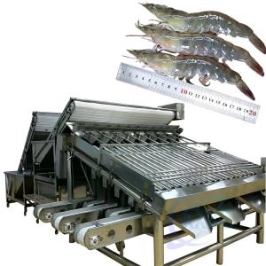 Quality Seafood and shrimp grading processing machine, shrimp and fish sorting machine, crayfish and shrimp grading machine for sale