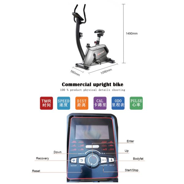 Indoor Stationary Exercise Bike For Home Five Years Guarantee For Motor