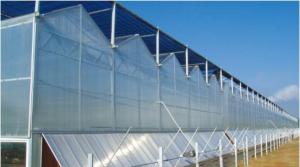 Quality PC Greenhouse for sale