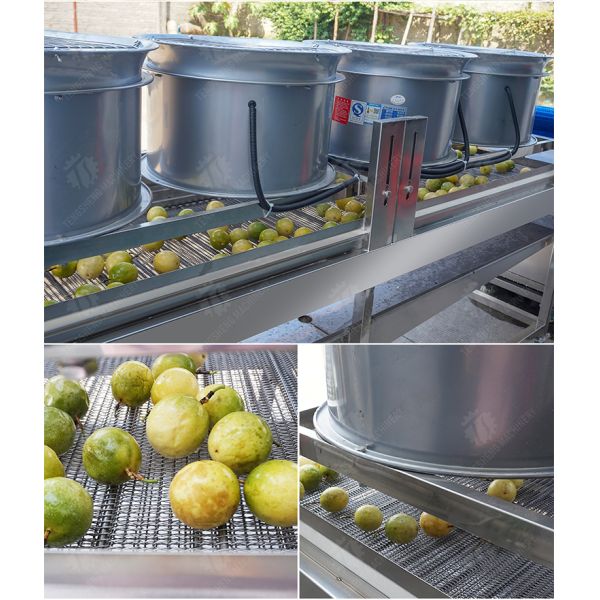 380V Fruit And Vegetable Processing Line Fully Automatic Cleaning Drying Grading