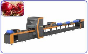 Quality 1 Channel Mechanical Pomegranate Sorting Grading Machine Computer Control for sale