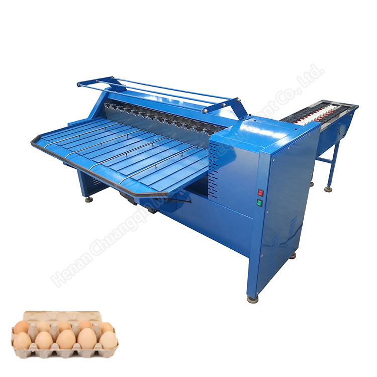 Chicken Egg Sorting Machine Egg Size Sorting Machine Basic Egg Sorting Machine