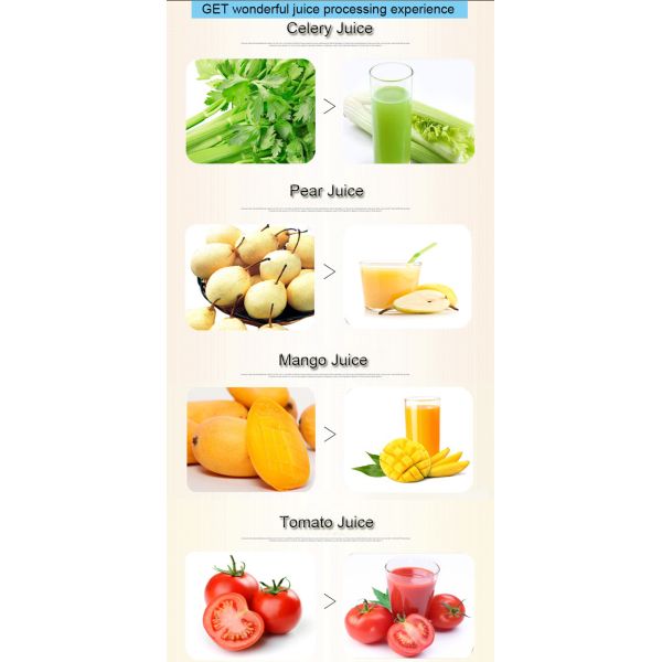 Automatic Apple Juicer Machine 100kg Juice Extractor Machine