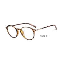 China Unisex Round Plastic Ultra Light Eyeglass Frames Fashionable For Young Generation for sale