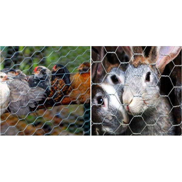 0.914m 18 Gauge Galvanized Hexagonal Wire Mesh Corrosion Resistant