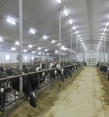 85 CRI LED Vapor Tight Garage Light Fixture Switchable 2FT Tri-proof Light for Workshop IP66 Waterproof