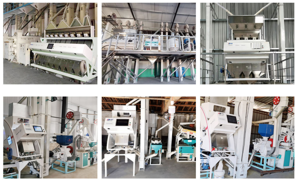 256 Channel Wheat Sorting Machine Take Out Foreign Grains And Foreign Matters