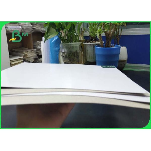 Great Stiffiness Grey Back White Side Clay Coated Paper Offset Printing In Rolls