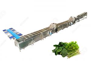 China CE Certified Stainless Steel Commercial Vegetable Washer Washing Line Vegetable Processing Plant on sale