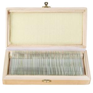 50pcs Of Box Set On Zoology Prepared Microscope Slides Used Homeschool Teaching