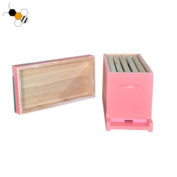 queen rearing 5 Frame bee hive equipment Langstroth Painted Nuc Box