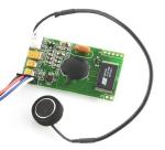 Arduino voice recognition shield Arduino sound