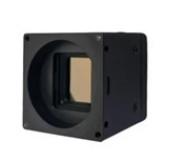 China 12μm Pixel Pitch FW-RJ04 Uncooled Infrared Thermal Camera High Sensitivity and NETD ≤40mk 25C for Precise Detection on sale
