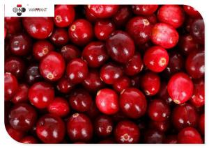 China 80 Mesh 25% Proanthocyanidins Organic Cranberry Powder on sale