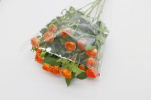 China Transparent Plastic OPP Packaging Bag 180 Microns Oil Proof on sale