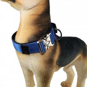 China 18 16 Inch  Climbing Rope Dog Collar Stylish Identification Tag Custom Pet Collar Suppliers on sale