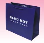 custom promotional recyclable full color paper bag distributors with all kinds