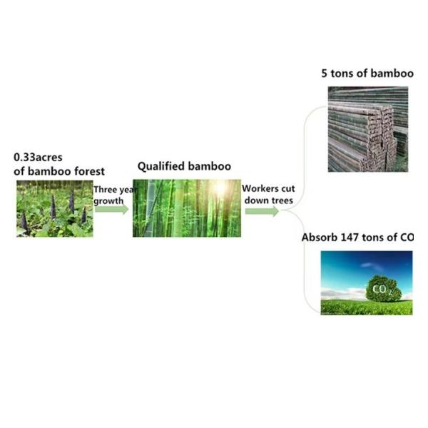 Custom Logo Printing Pattern Soft Solid Color Natural Environmental Protection Bamboo Fiber Bag Non-Woven Bag