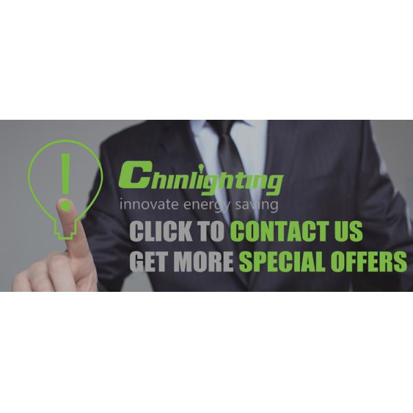 Chinlighting LED Copper Wire G40 String Lights 12ft with 12 Bulbs