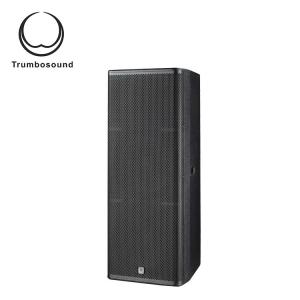 Quality Dual 15 inch outdoor speaker full range stage speaker 2-way 15 inch speaker with two 15 inch TR215 for sale