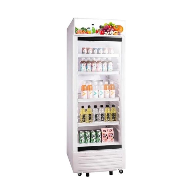 220 - 240V Upright Showcase Cooler With Power Supply 310L Beverage Display Chiller