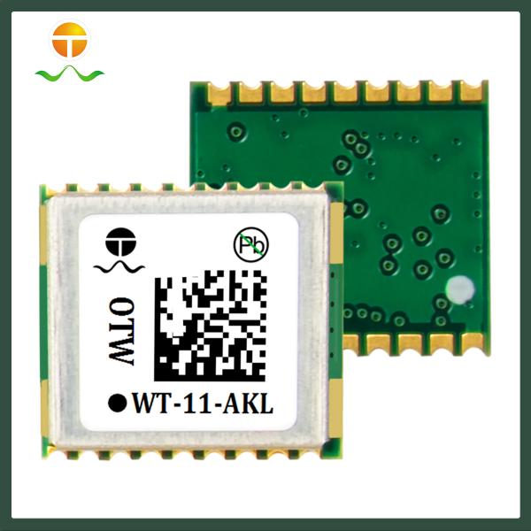 OTW WT-11-AKL GNSS Module GPS+GLONASS+BDS for Pet Collars