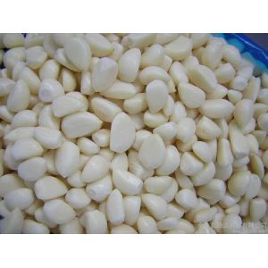 Quality Salted galic for sale