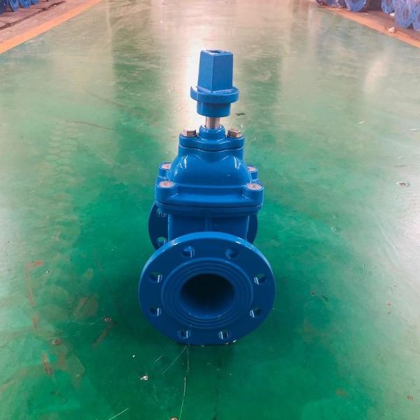 Ductile Iron Soft Seat Gate Valve 8 Inch F4 German Standard