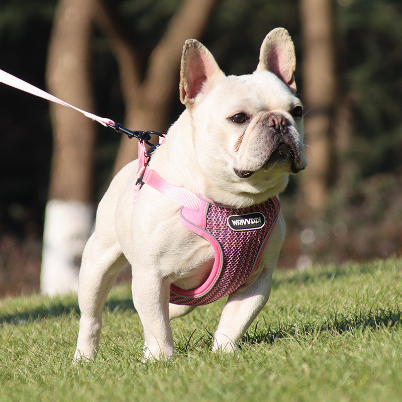Nylon Pet Traction Rope XL L M S Breathable Comfortable