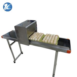 Professional Egg Stamping Machine Laser Batch Coding Machine 600dpi Resolution