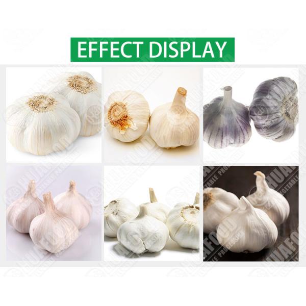 Industrial Fresh Garlic Root Cutter 1 Kg/S Feeding Quantity 500mm
