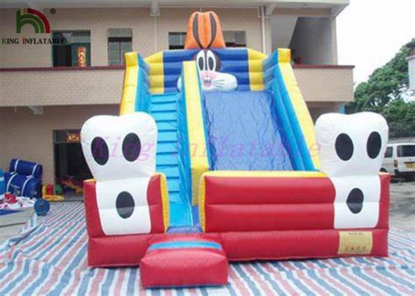 Buy Blue Cat Outdoor PVC Tarpaulin Dry Slide Inflatable Garden Dry Slides For Parties at wholesale prices
